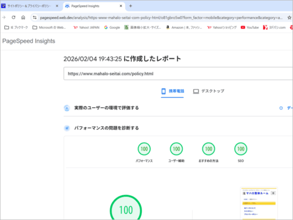 Proof of achieving a perfect score on Google PageSpeed Insights for mobile.
